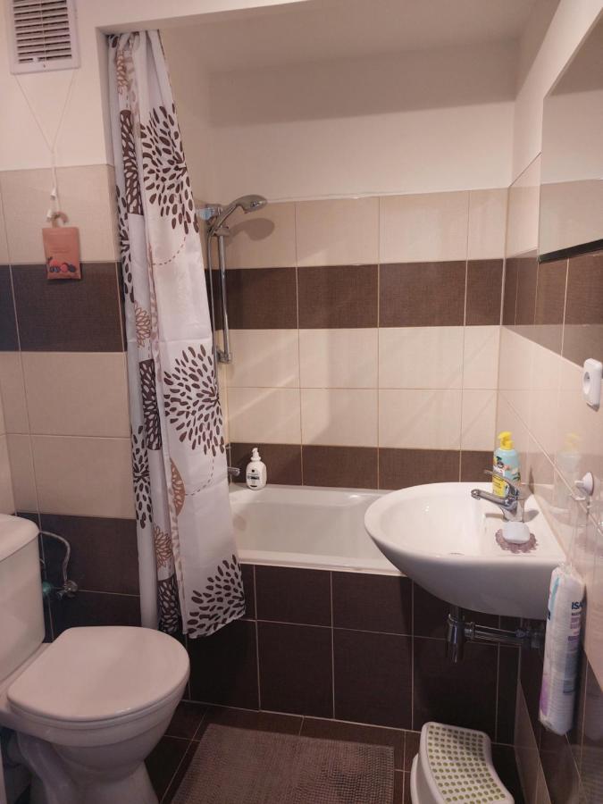 Apartman V Podhuri Krusnych Hor Соколов Екстериор снимка